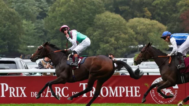 Analyse tracking du Qatar Prix de l’Arc de Triomphe 2024 : Bluestocking au sommet