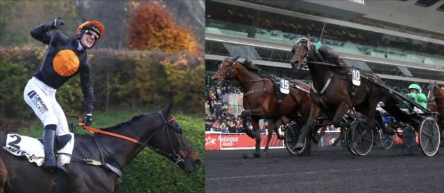 Two disciplines, two crowning moments: data insights from the 2024 Prix La Haye Jousselin and Prix de Bretagne