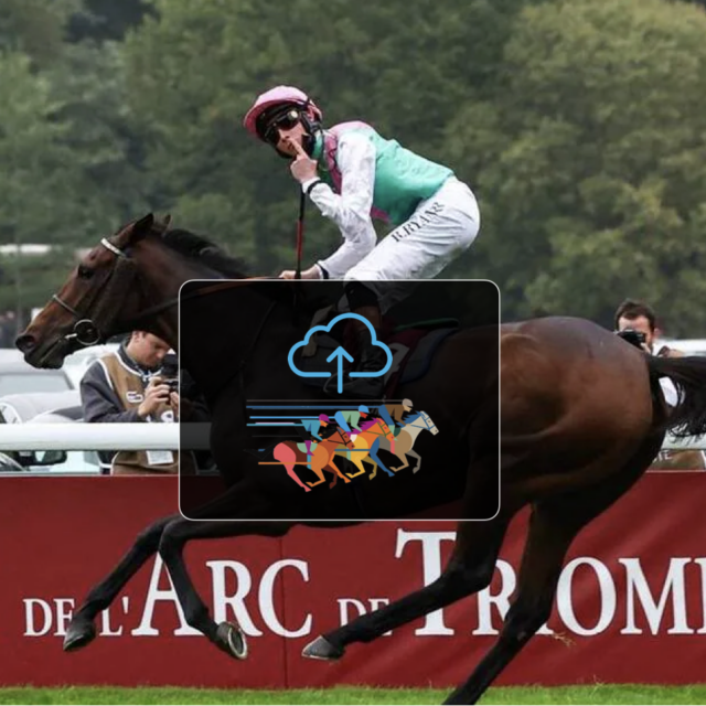 Horse racing data - ENG | Professional GPS Tracking solutions for ...
