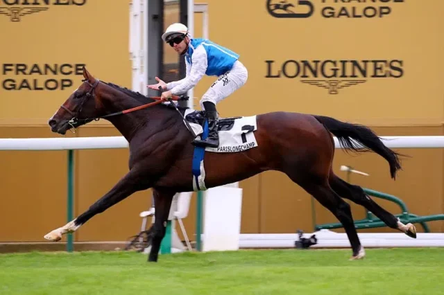 Sosie et Aventure : destins croisés après l’Arc 2024 📊🐎