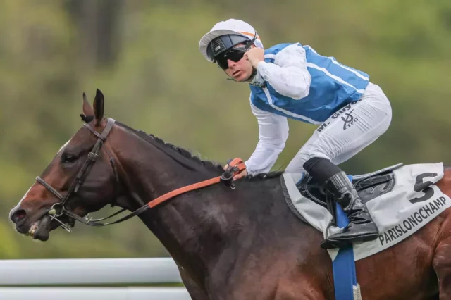 Retour sur les prix d’ispahan & vicomtesse vigier 📈📍