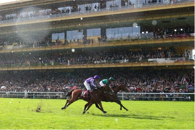🏆Qatar Prix de l’Arc de Triomphe 2025: Daryz, the Science of Pace and Position📊