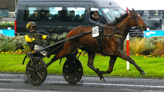 Dimanche 7 Décembre 2025 : Analyse Tracking du Prix du Bourbonnais – Amérique races Q2