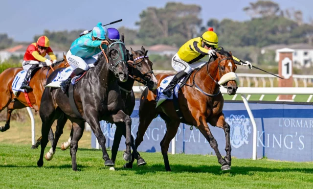 South Africa, Ormarins King’s Plate 2026: The Real Prince Delivers a Commanding Victory