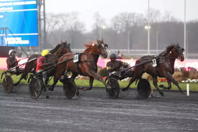 📊 Prix d’Amérique 2026 : le triomphe du sang-froid