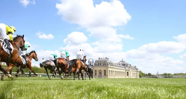 Trois inédits qui ont fait mieux que gagner à Chantilly 📊